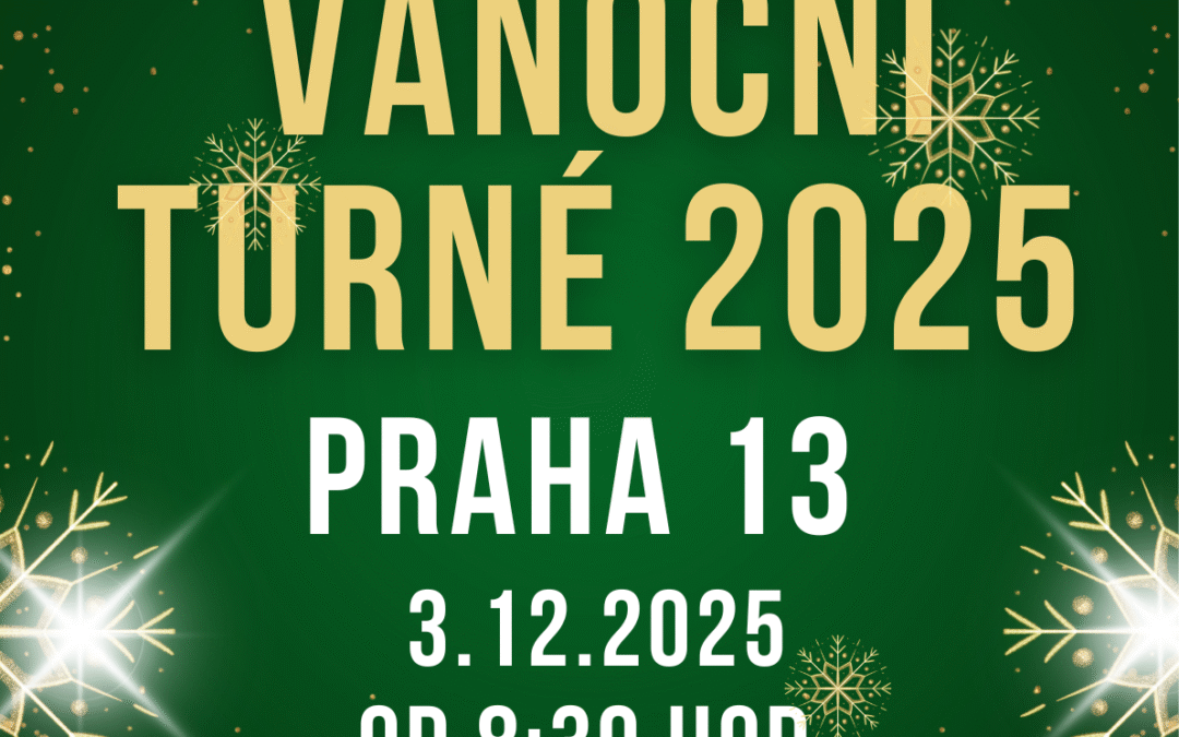Vánoce P 13